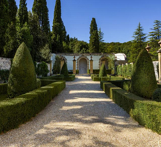 Torre a Cona Wine Estate - Appartementen