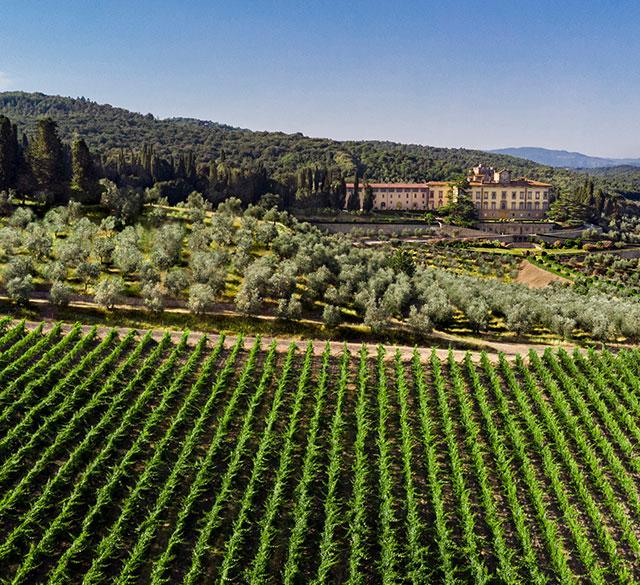 Torre a Cona Wine Estate - Appartementen