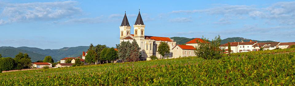 Rhône Foto: 1 van 1