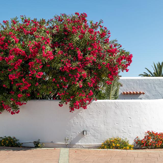 Residencial Bogamarí