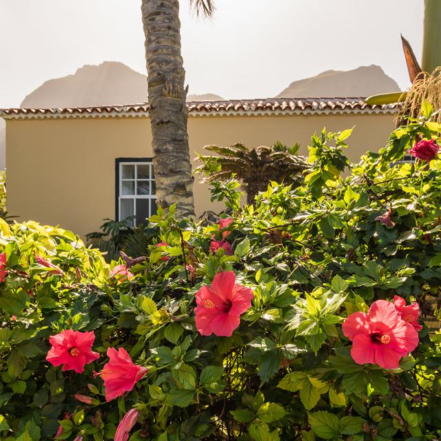 Casa Amarilla