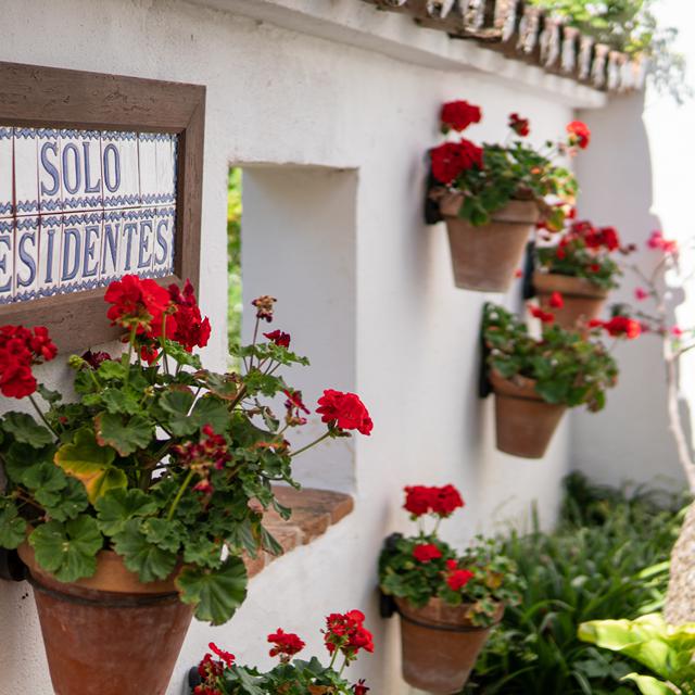 Molino del Santo