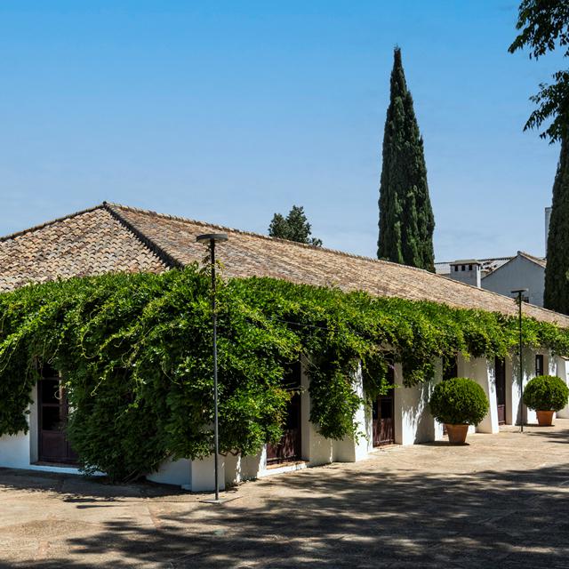 Cortijo Torre de la Reina