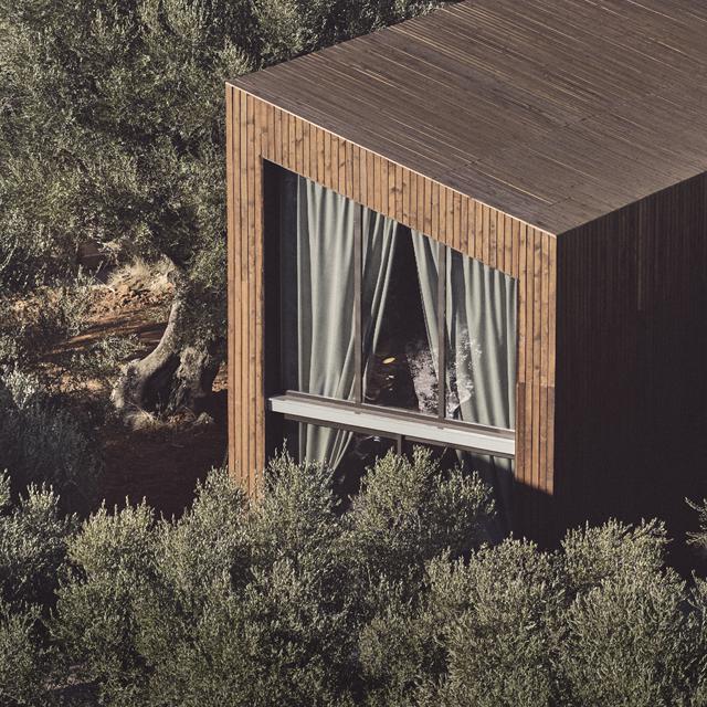 Prosilio Olive Tree Houses