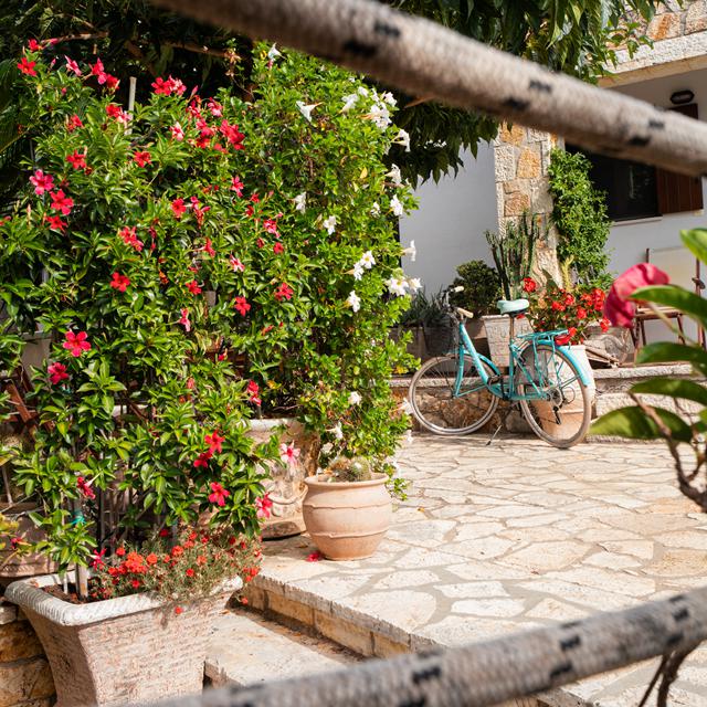Cactus Villas Sivota