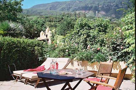 Terras